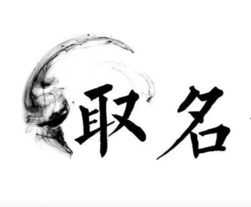  六枝特宝宝取名 大师一对一人工起名